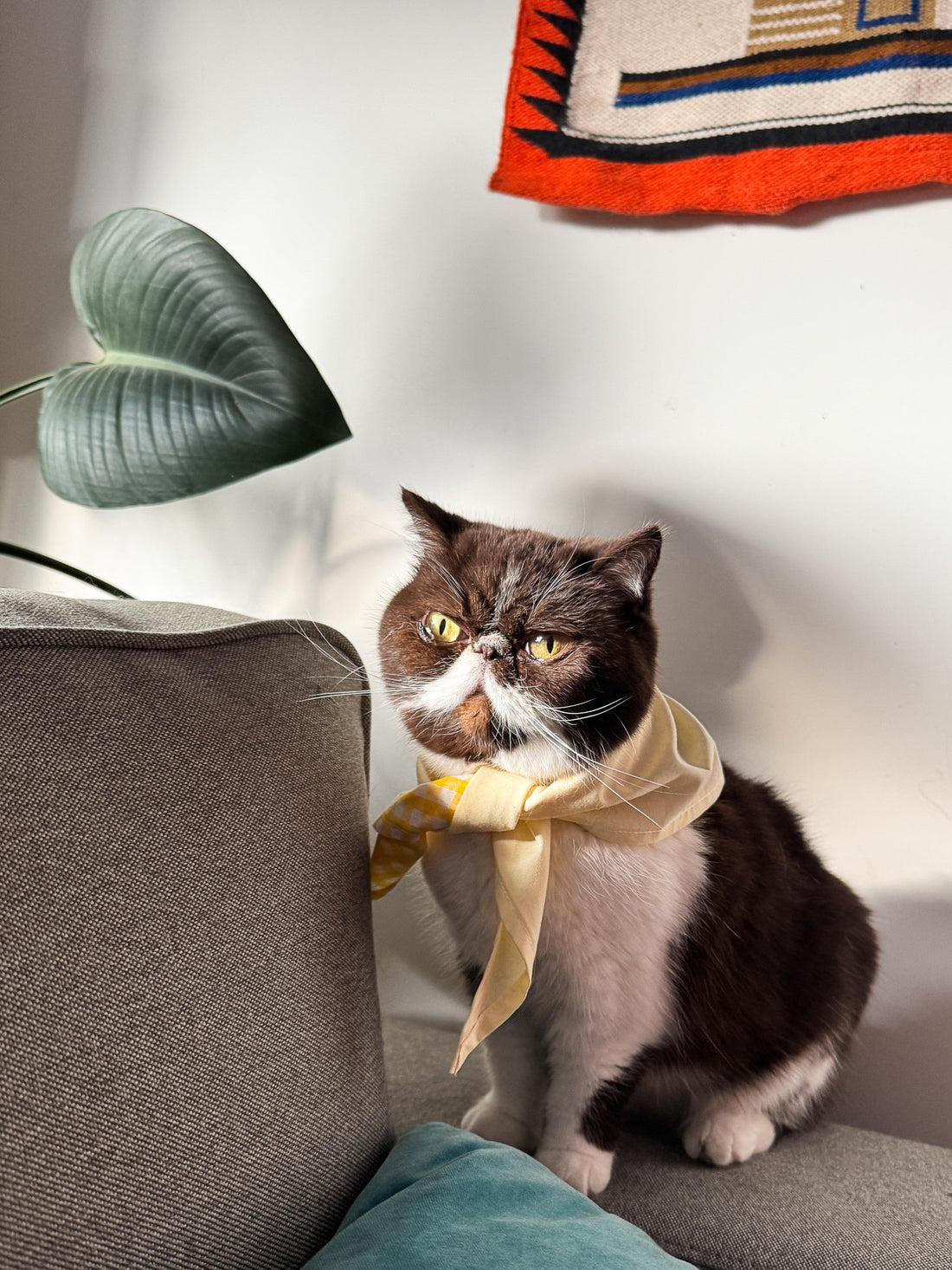 At Home with Sunday - Kitiya Palaskas, Tina and Gustavo