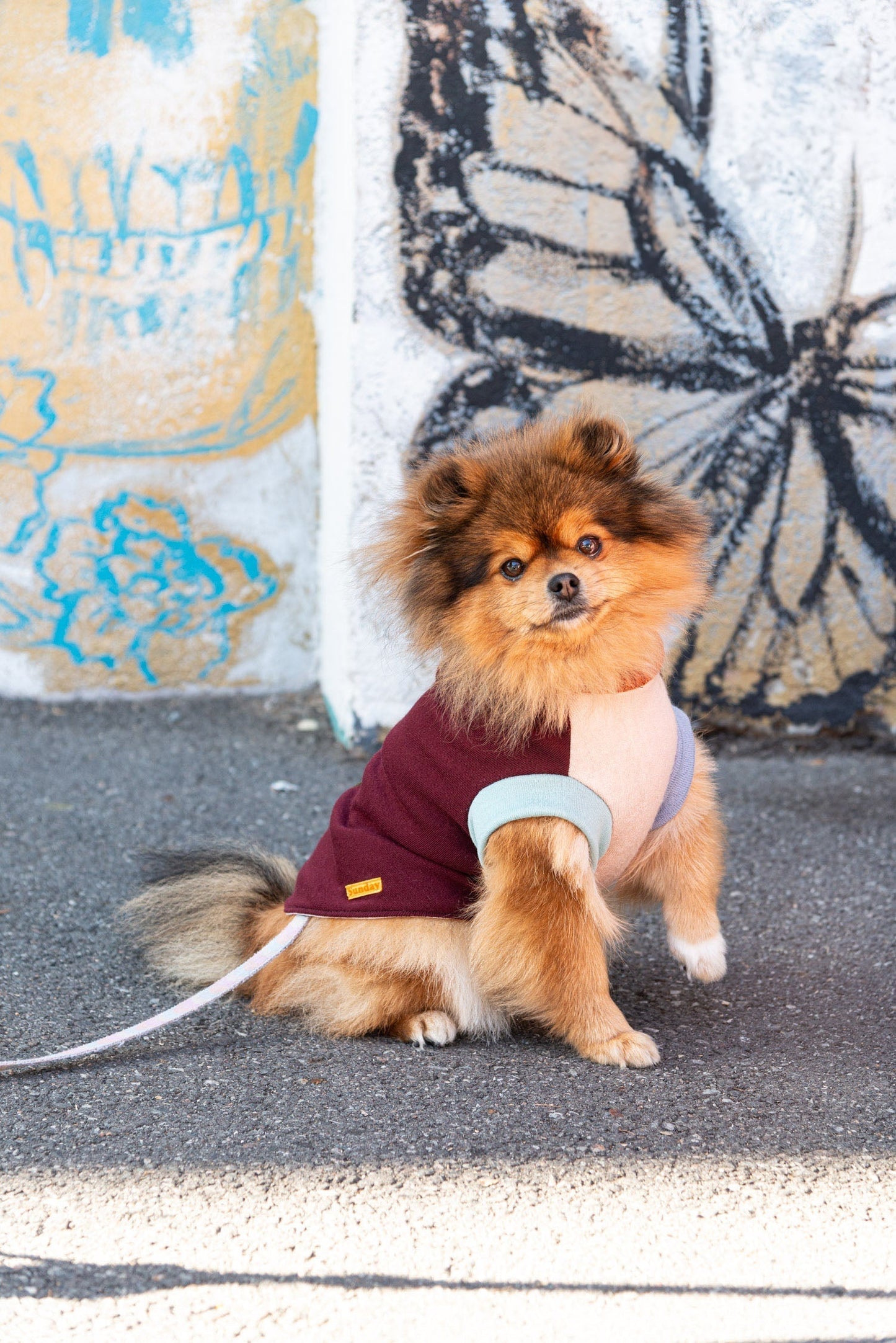 SUNDAY Pet Jumper, size XS - Patchwork 004