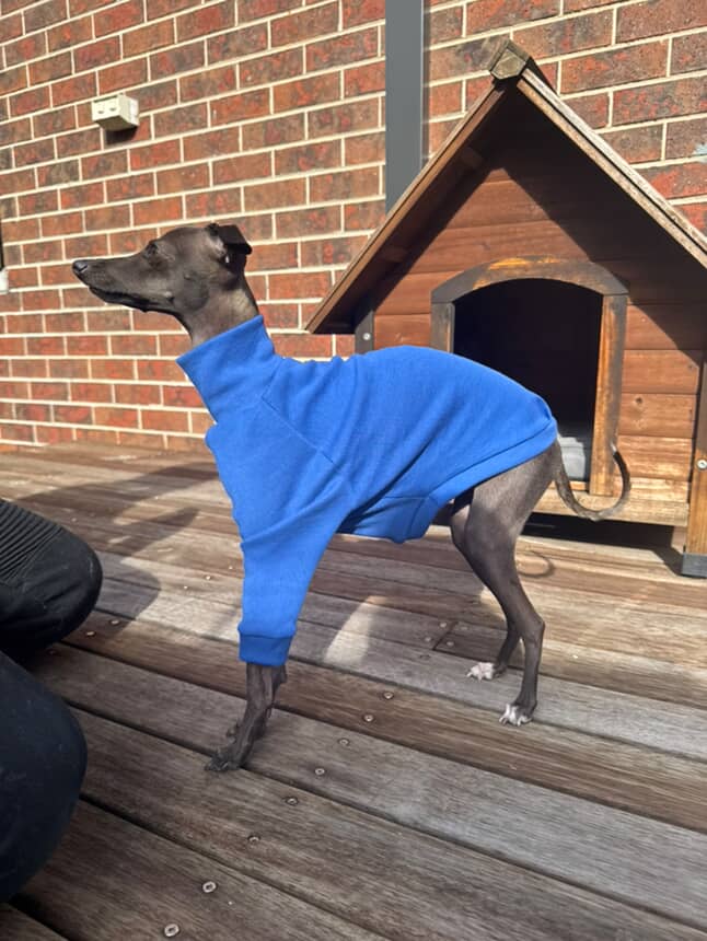 Sighthound Turtleneck - Cornflower Blue