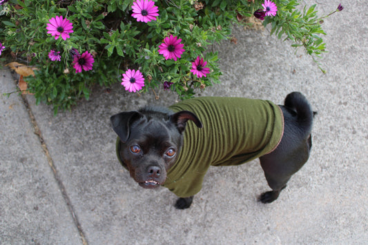 At Home with Sunday - Edith Nguyen, Pickles and Purl