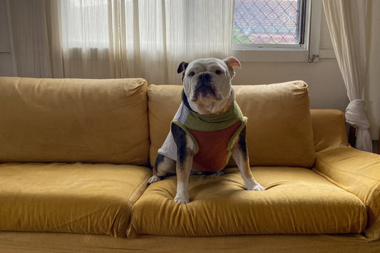 At Home with Sunday - Emily Thiang and Pearl