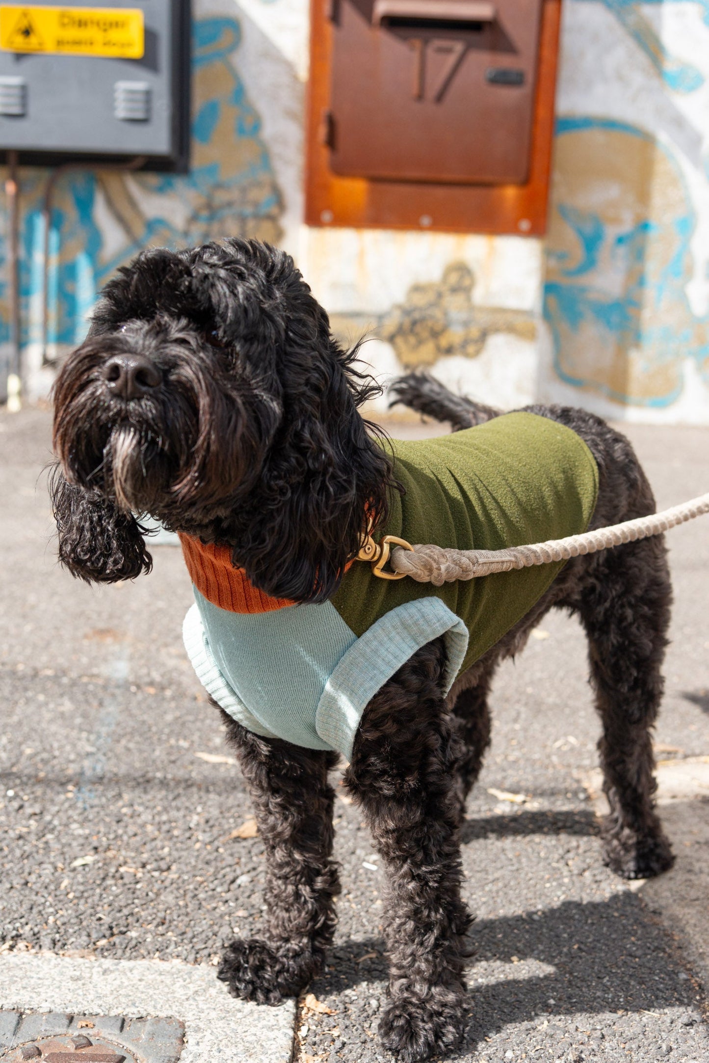 Pet Jumper, size S - Patchwork 003