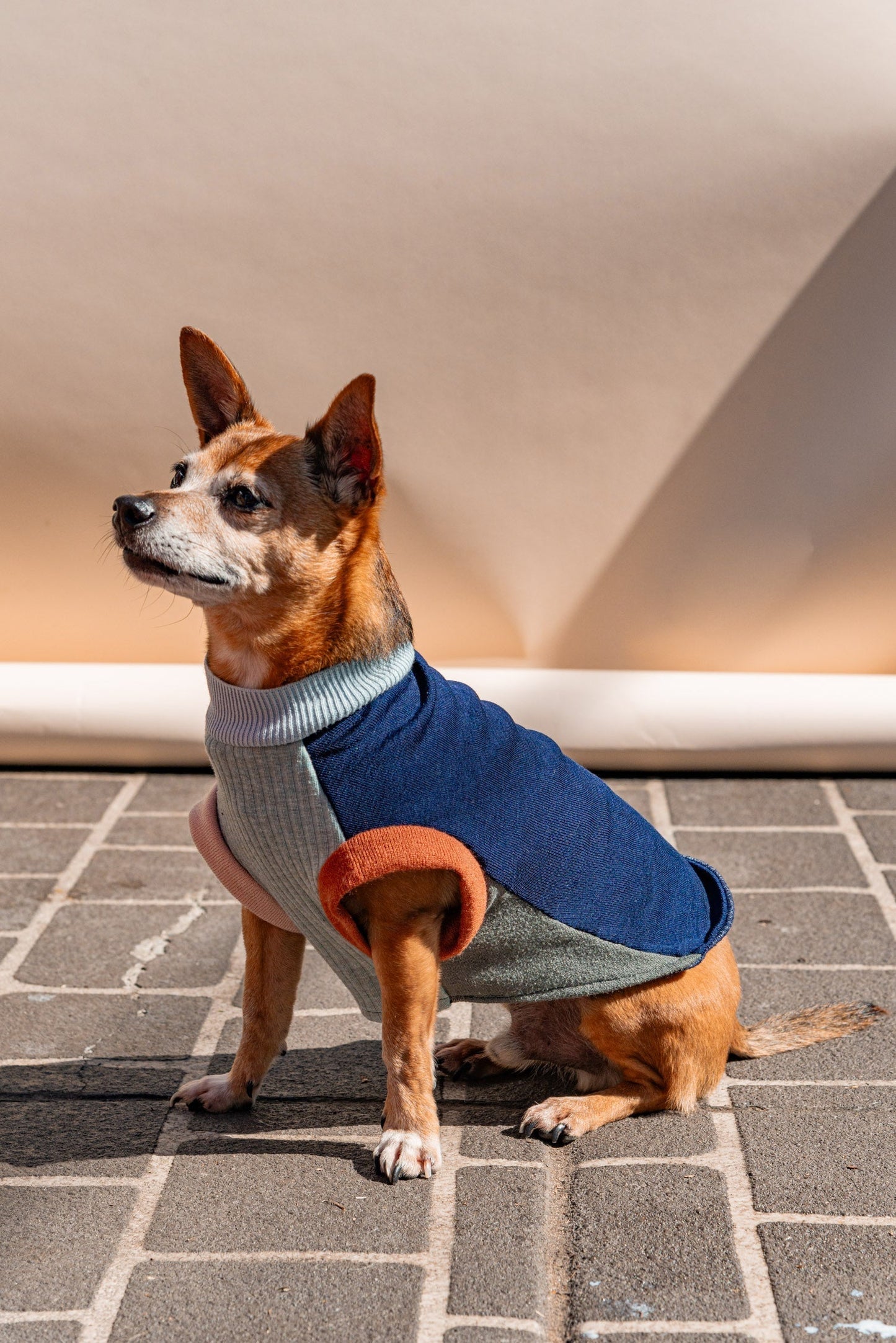 SUNDAY Pet Jumper, size XS - Patchwork 004