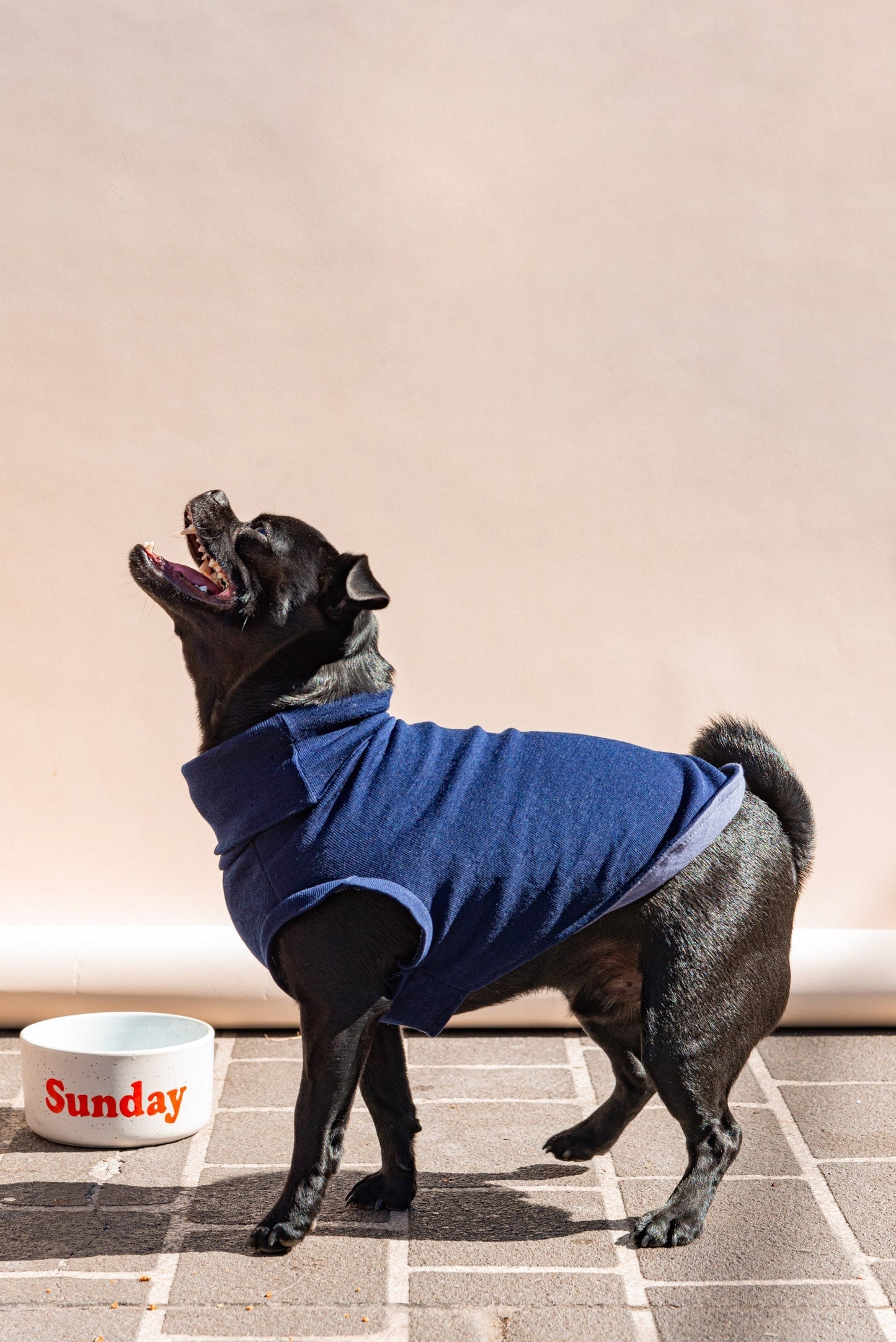 Pet Jumper, size S - Patchwork 003
