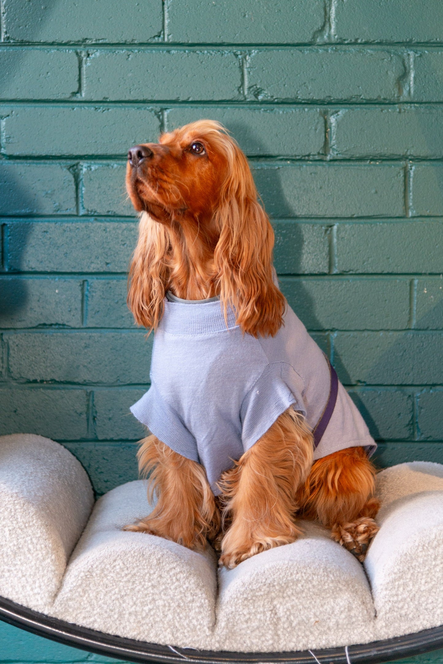 SUNDAY Pet Jumper, size M - Patchwork 002
