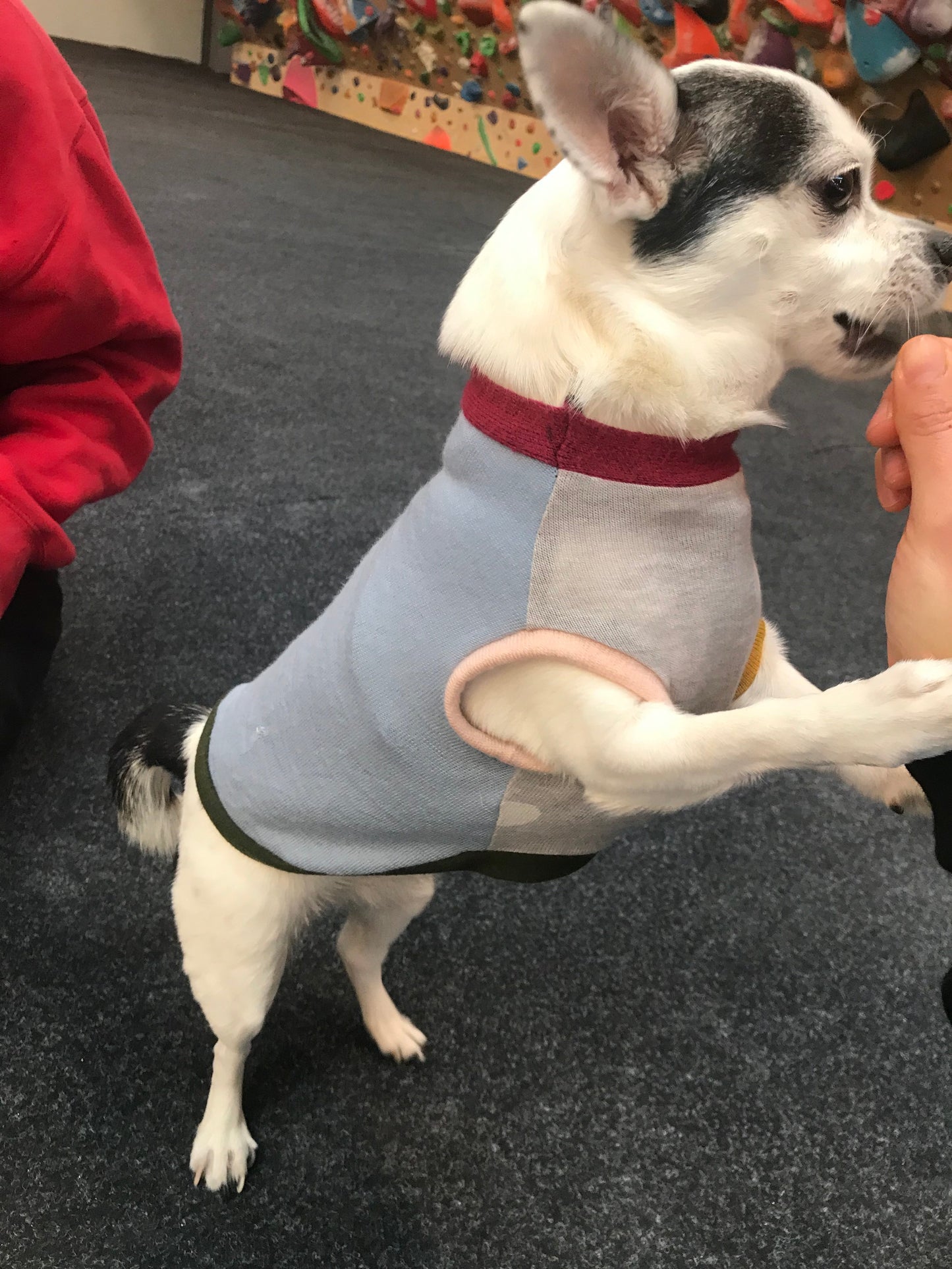 Pet Jumper, size XXS - Patchwork 002
