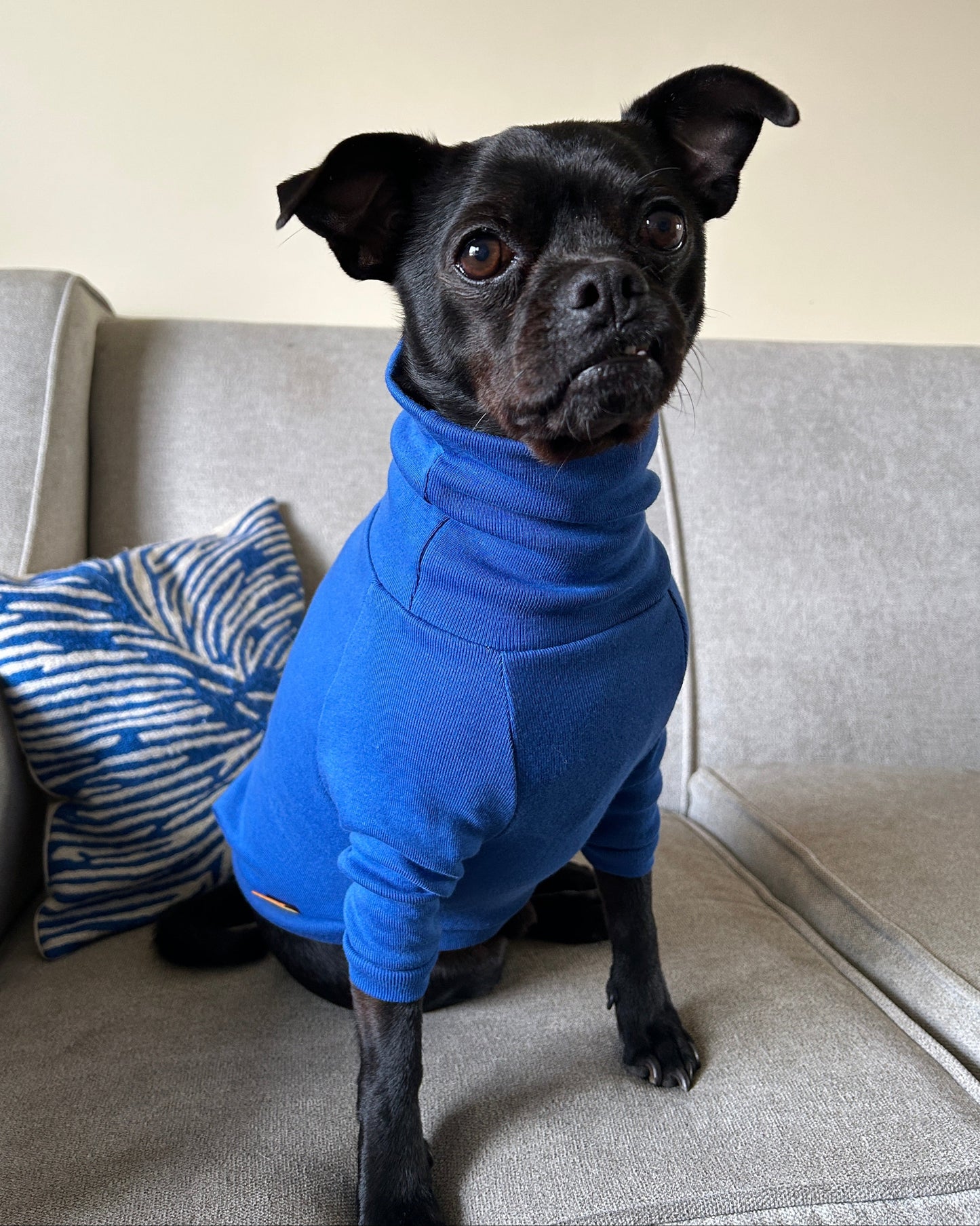 Turtleneck - Cornflower Blue