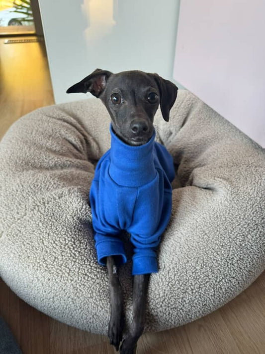 Sighthound Turtleneck - Cornflower Blue
