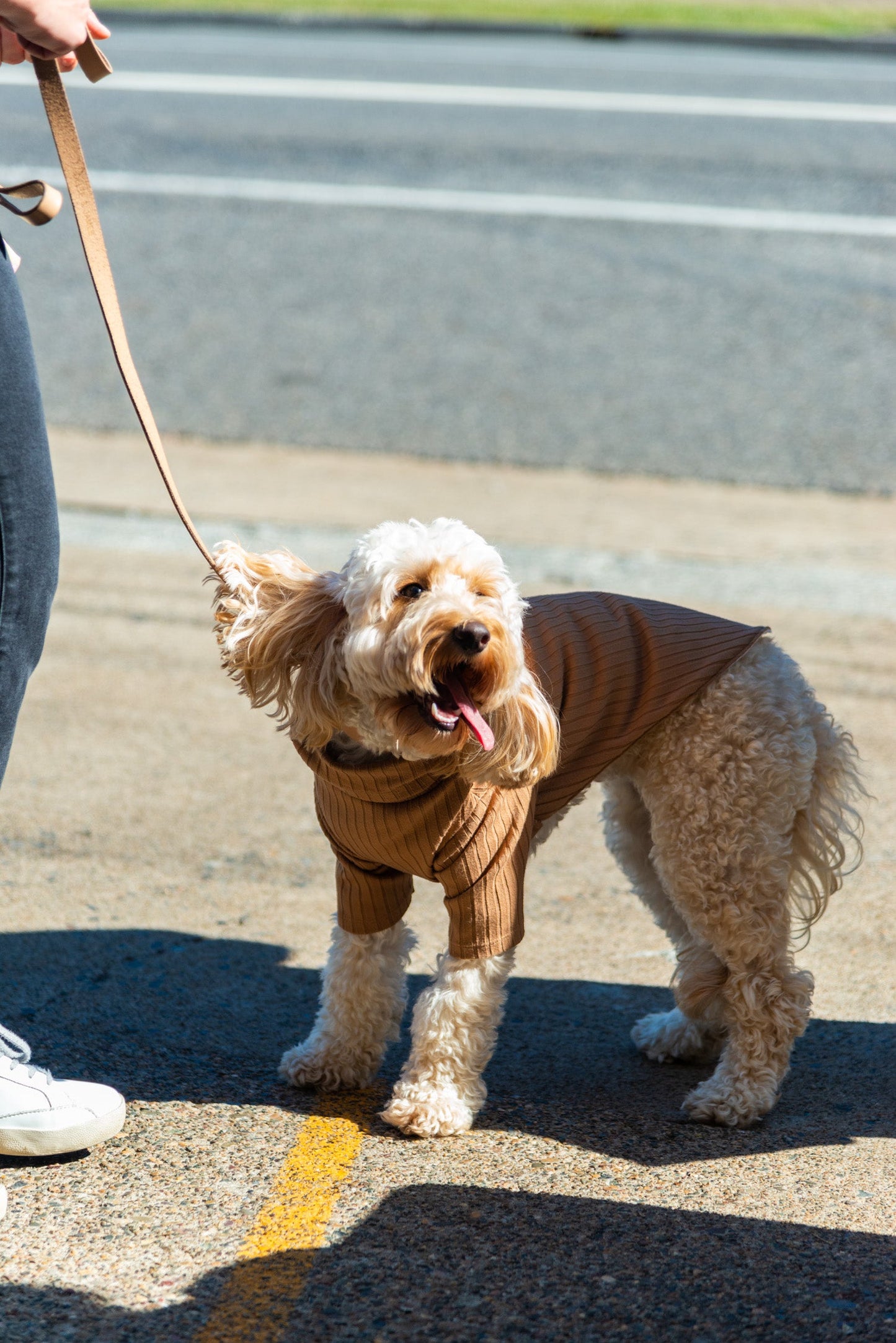 SUNDAY Pet Jumper, size M - Patchwork 002