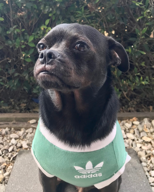 Custom Order - Upcycle Your Jumper